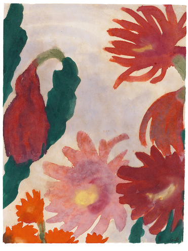 Rot blühende Kakteen (Epiphyllum, Lovibia)